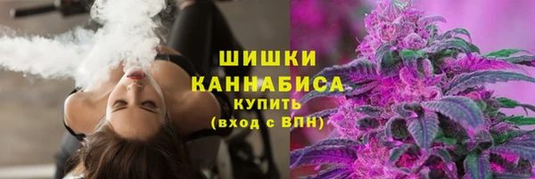гашик Горнозаводск