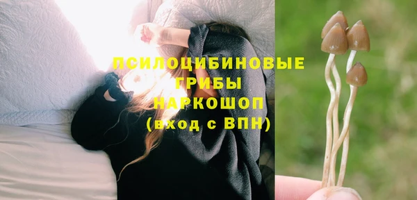 марки lsd Горно-Алтайск