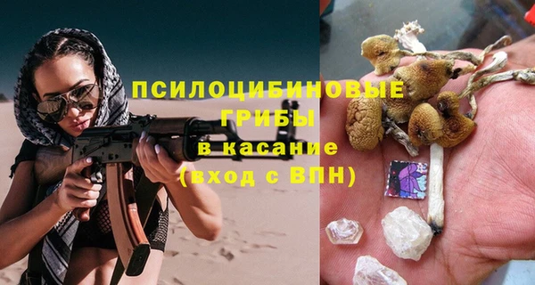 первитин Горняк