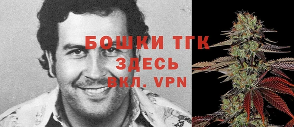 гашик Горнозаводск